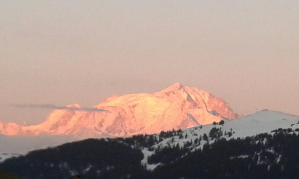 Hotel Flor'alpes 2*