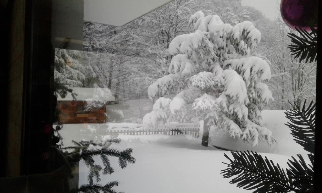 Flor'alpes Hotel