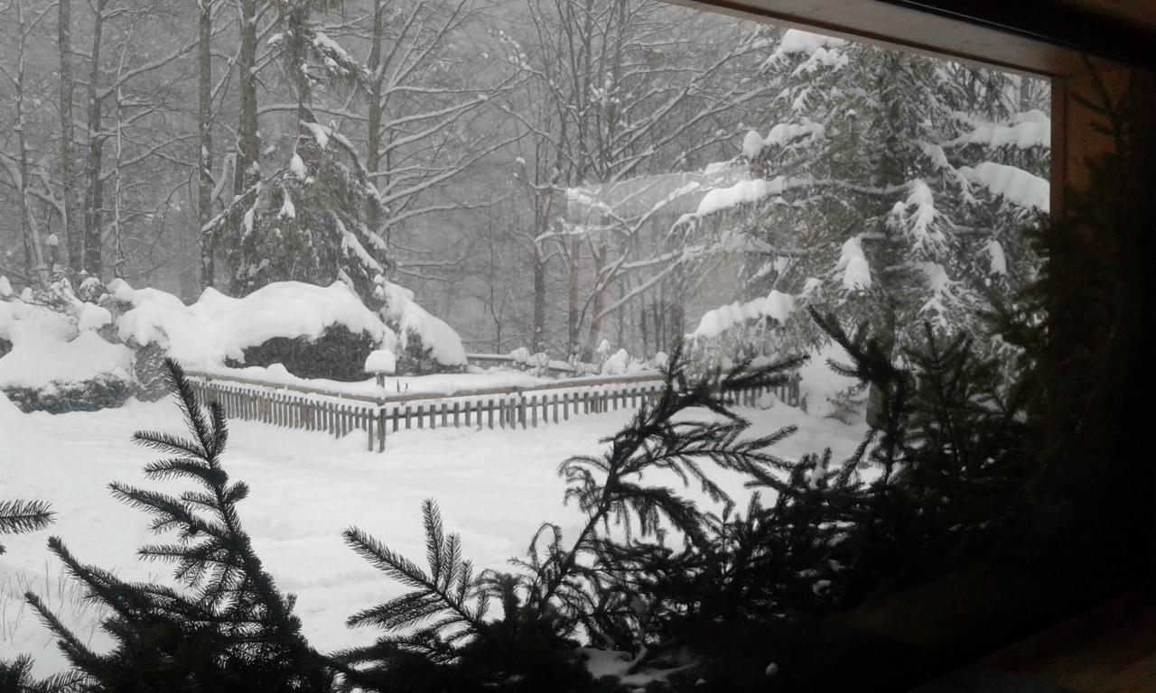 Flor'alpes Hotel 2*