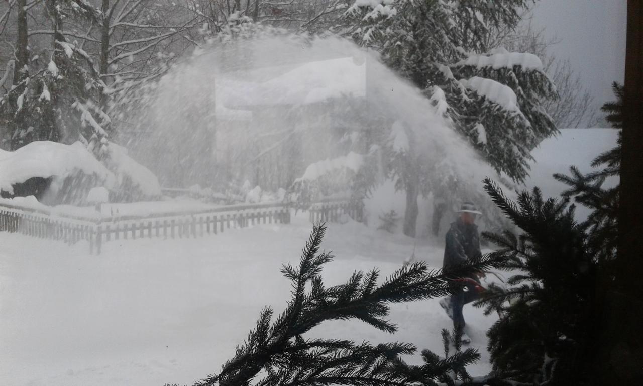 Flor'alpes Hotel 2*