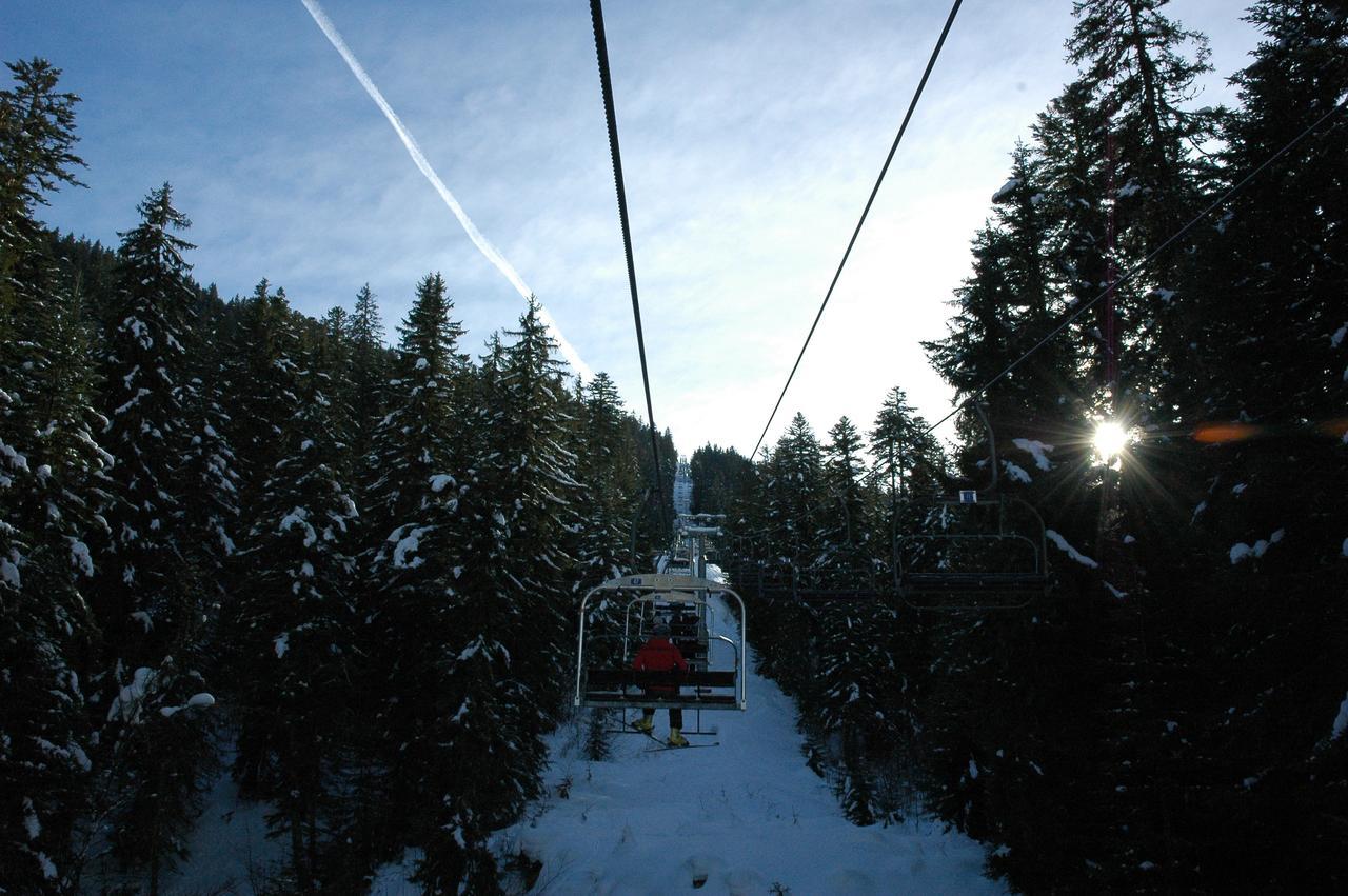 Flor'alpes Hotel 2*