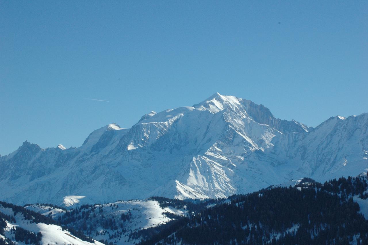 Flor'alpes Hotel 2*